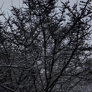 渐入深寒(MIDI Version)