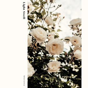 Light Swell (Botanica Remix)