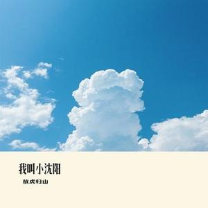 我叫小沈阳（Cover 小沈阳）