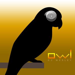owl (Instrumental)