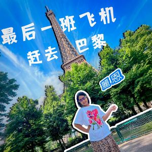 最后一班飞机去巴黎