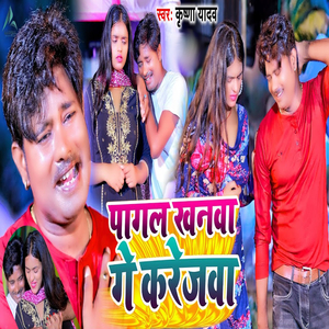 Pagal Khanva Ge Karejva