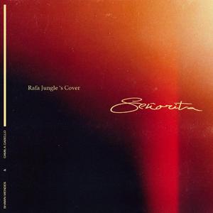 Señorita（翻自 Shawn Mendes）