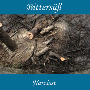 Narzisst (Radio Edit)
