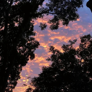 雪岭日落（For Ran.）