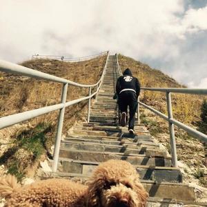 我们的时光（翻自 赵雷）