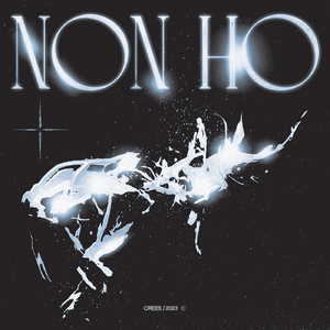 NON HO