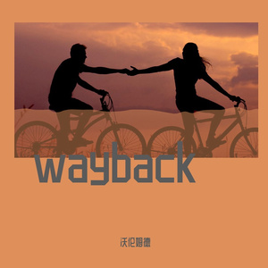 Wayback纯