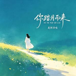 你踏月而来