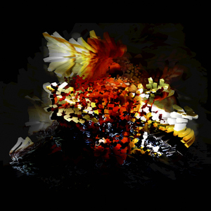 Ex Voto (Industrial Sky Jamm)