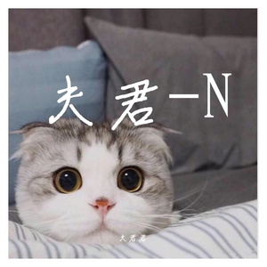 夫君-N
