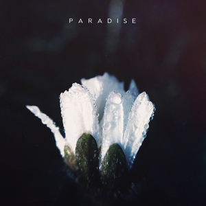 Paradise