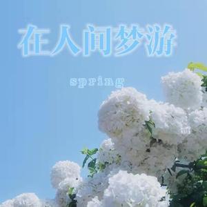 在人间梦游