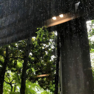 听夜雨（cover：礼越）