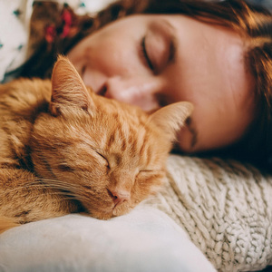 Melodías De Guitarra Felina