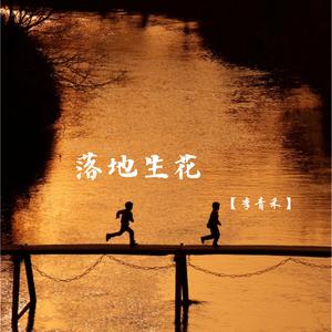 落地生花 (深情女生版)