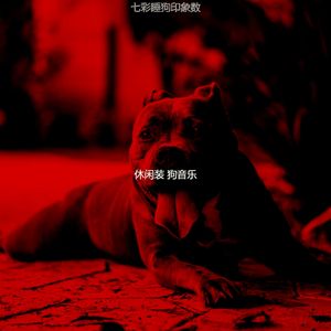 温和训练犬梦想