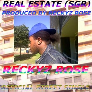 Real Estate