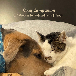 Canine's Calm Chords