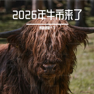 4100点的分歧