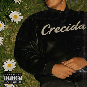 Crecida