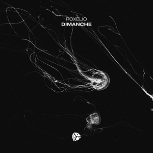 Dimanche (Radio Edit)
