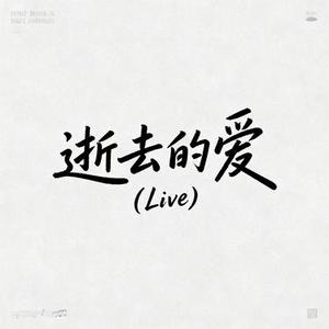 逝去的爱 (Live) (阿默 Remix)