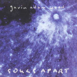 Until the Stars Fall