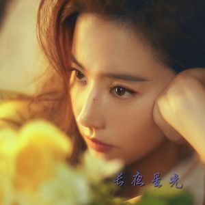 长夜星光（《玫瑰的故事》电视剧插曲 Cover 王赫野）
