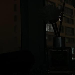 Time to Pretend减速0.8正式版（1stylish remix）