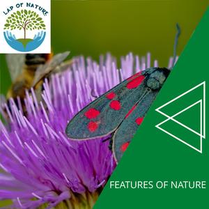 Pleasant Hissing Steam Vent