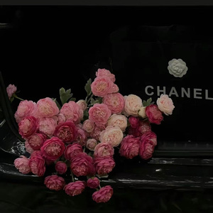 想自由（prod.by Morrow x FAS)