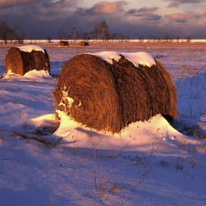 萨菲娜 我们终将获得幸福