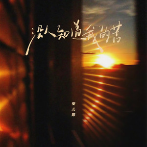 没人知道我的苦 (DJ彭锐版)