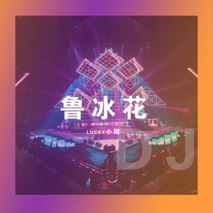 鲁冰花 (Dj热歌版)