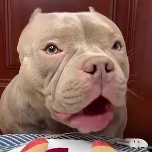 How Deep Is Your Luv