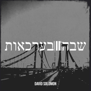 שבה בערכאות