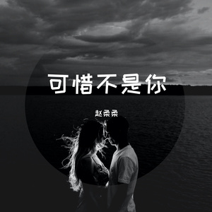 可惜不是你