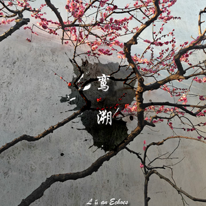 鸾溯（Lúan Echoes）