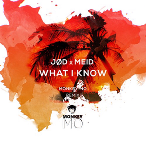 What I Know (Monkey Mo Remix)
