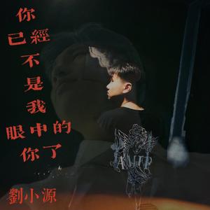 你已经不是我眼中的你了