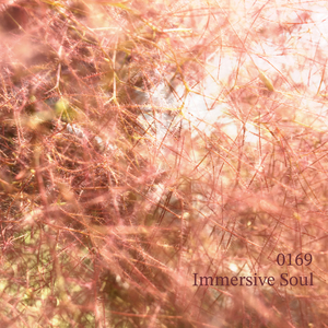 Immersive Soul