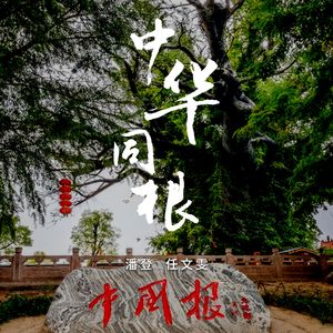 中华同根(伴奏)