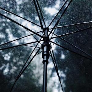 颁奖（ 温柔女版 cover 王靖雯 ）