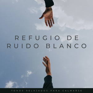 Equilibrio Consciente En El Ruido