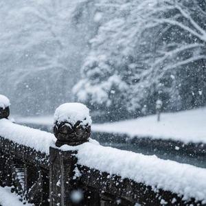 雪还下不下 (Cover 刘佳宁)