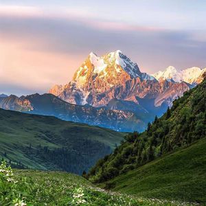 向阳花木易为春