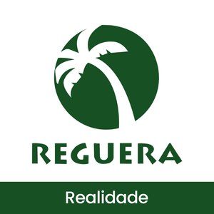 Realidade (Cantinho da Reguera)
