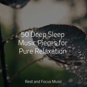Soft Echoes