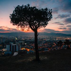 Fluoxetine（prod by CyberD ）